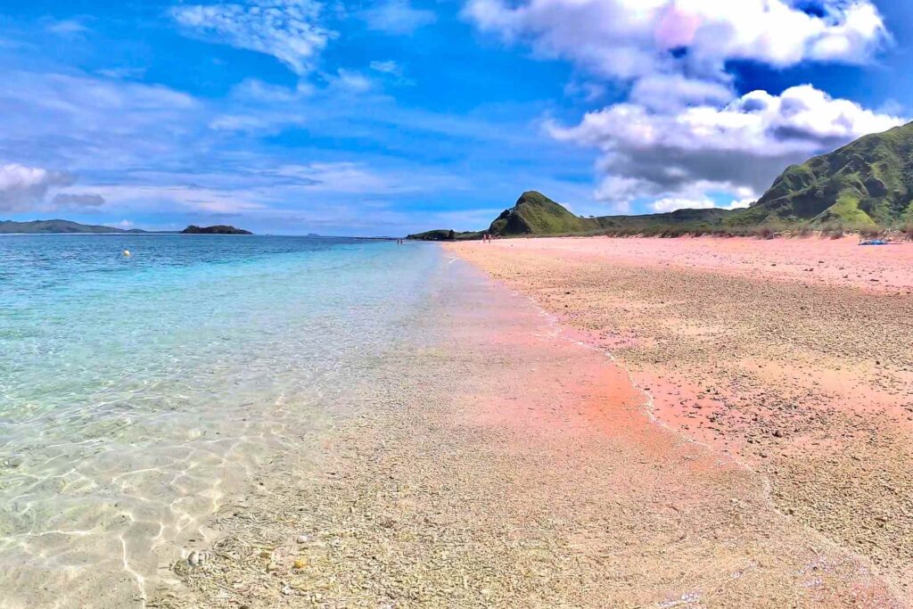 Long Pink Beach - Padar Island - Komodo National Park