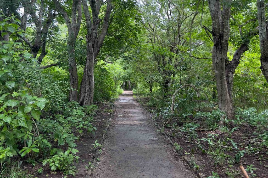 Medium Hike - Komodo Island - Komodo National Park